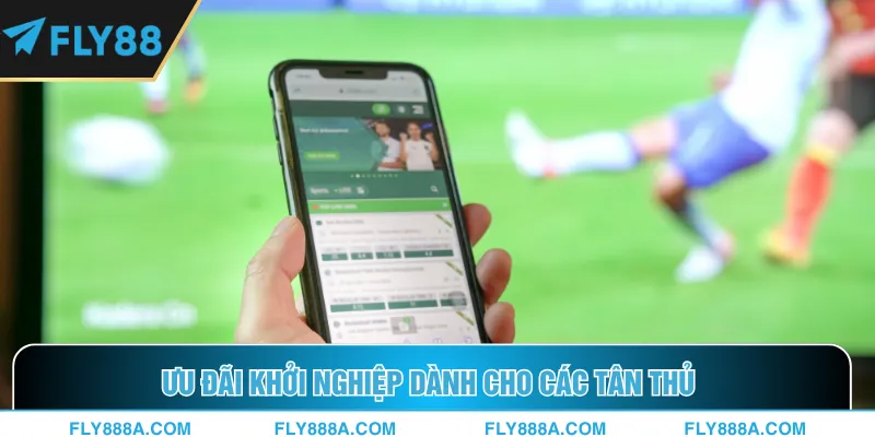 Ưu đãi khởi nghiệp dành cho các tân thủ